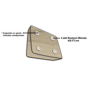 Mıknatıslı Ceviz Bıçaklık(2 bıçak kapasiteli)